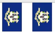 CONNECTICUT U.S. STATE 3 metre BUNTING 10 FLAGS flag USA AMERICA AMERICAN
