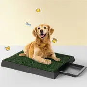 i.Pet Pet Training Pad Dog Potty Toilet Large Loo Portable With Tray Grass Mat