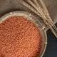 【淳歆】完整顆粒‼️紅扁豆(小) 600g (超取限重5㎏) Red Lentils