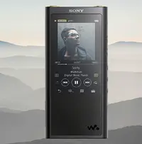 在飛比找Yahoo!奇摩拍賣優惠-Sony/索尼 NW-ZX300A 發燒無損hifi音樂播放