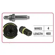 RAE Oxygen Sensor - OX660
