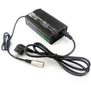 24V 5A GEL Lead-Acid Battery Charger for High Power Mobility Scooters/Power Wheelchairs HP8204B Black