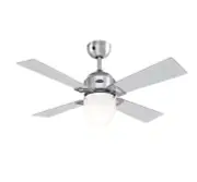 Ceiling Fan with Light and Remote Control Saxton 105 CM Blades Transparent