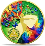 6 Year Sobriety Coin Gift Set | Dancing Woman Tree AA Chip Medallion with Coin Capsule, Display Stand & Card | Sobriety Gifts for Anniversary Month & Year for Men & Women in Recovery