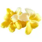 USA KIZIMA HANDMADE Soap Lily pure GOAT’S MILK