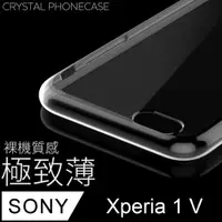 在飛比找PChome24h購物優惠-【極致薄手機殼】SONY Xperia 1 V 保護殼 手機