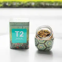 在飛比找蝦皮購物優惠-澳洲代購T2茶葉消化茶