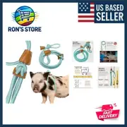 Eggshell Blue Mini Pig Harness – Fully Adjustable, Versatile for Small Animals