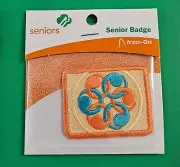 Girl Scout Senior badge: Social Innovator (retired)