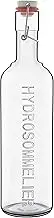 Luigi Bormioli Pictura Hydro Sommelier Bottle, 34-Ounce, Clear