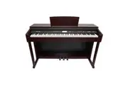 Crown A20 88-Key Touch Responsive Digital Piano (Walnut)