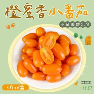 【禾鴻】橙蜜香小番茄禮盒3斤x6盒(不帶蒂頭出貨)