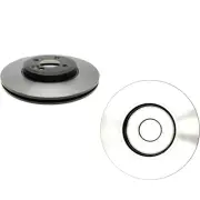 SET-RAY980605-2 Raybestos Brake Discs 2-Wheel Set Front for Mini Cooper 06-15 (for: Mini)