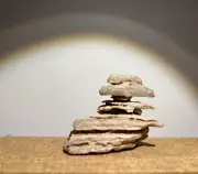 Natural Weathering Modeling Taihu lake LingBi Fengling Stone Steep Cliff X11-327