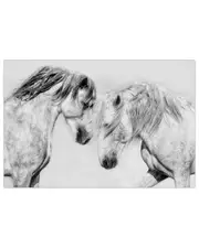Empire Art Direct Caballo Blanco Equine Frameless Free Floating Tempered Glass Panel Graphic Wall Art