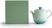 Teapot Teapot Ceramic Single Pot Household Chinese Tea Brewer Kung Fu Tea Set Tea Kettle FANDIAO