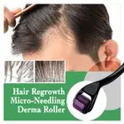 Derma Roller W/ Case For Hair Loss And Fast Beard Growth Titanium ✅Top Quality✅