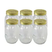 6 x 1L Glass Conserve Jar Gold Lid Screw Top Food Lolly Jam Storage Container