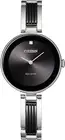 Citizen Eco-Drive Axiom EX1538-50E Silver Tone Black Dial Womens Watch