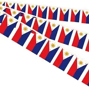 10 Meters Philippines Miniature String Pennant Flag,30 PCS Filipino Philippine Small Bunting Banners,32 FT Decorations For Outdoor Indoor House Home Office Meeting Party