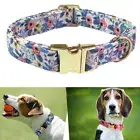 Customized Personalised ID Engraved Custom Made Dog Collar Leash Lettering Cat