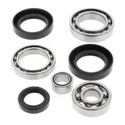 New ALL BALLS Racing Differential Bearing & Seal Kit - Rear #AB252007