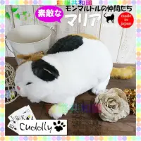 在飛比找蝦皮購物優惠-※龍貓共和國※《日本製Cuddly療癒 仿真擬真小貓 喵星人