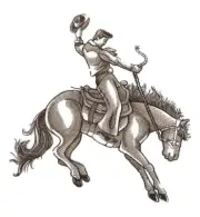 Custom Horse Bucking Bronco Rodeo King Embroidered Iron on/Sew Patch
