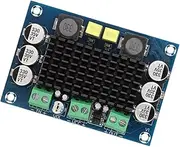 MENDUNER Module Power Amplifier Board - 100W Mono Output, High Efficiency TPA3116D2 Chip, Large Heat Sink for Better Cooling, Ideal for DIY Sound Systems & Home Theater