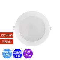 在飛比找momo購物網優惠-【華燈市】LED 13W 智慧調光嵌燈(燈飾燈具/崁燈/調光