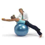 Gymnic Classic Plus Burst-Resistant Exercise Ball - 65 cm - Blue