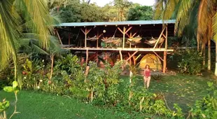 Life for Life Hostel Drake Bay Home of Sea Turtle Marine Conservation Project Osa Peninsula near San