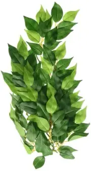 Exo Terra Medium Multi Color Artificial Plant for Pets with Weighted Base