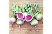 RADISH 'Watermelon' seeds