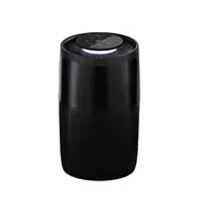 Instant Air Purifier AP200 Charcoal