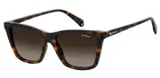 POLAROID-PLD 4081/S-86-5317-SUNGLASSES