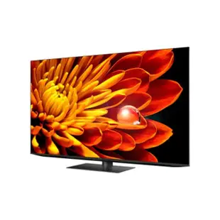 【SHARP 夏普】65吋 AQUOS XLED 4K智慧聯網顯示器/無視訊盒(4T-C65FV1X)