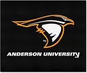 FANMATS 18432 NCAA Anderson University Tailgater Mat