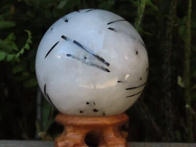 Black Tourmaline in Quartz Crystal Sphere With Wooden Display Stand 406 Grams