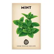Little Veggie Patch Heirloom seeds - mint peppermint