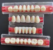 Denture Sets Acrylic False Teeth Anterior-Posterior Lower-Upper Shade A3/67 -3P