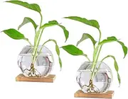 Desktop Round Glass Planter Terrarium Flower Vase with Wooden Stand for Propagation Small Hydroponic Plants Home Office Decor, 2 Pack (Brown)