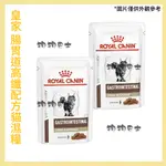 【狗狗巴士】ROYAL CANIN 法國皇家 貓用 FR31W 高纖腸胃道濕糧 85G