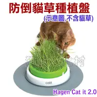 在飛比找蝦皮商城優惠-赫根Hagen Catit 2.0 貓草種植盤(不含貓草)3