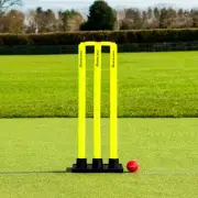 FORTRESS Flexi Cricket Stumps - Heavy Duty Rubber Base – 100% Portable