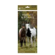 The U. 2024 Horses & Ponies Slim Calendar