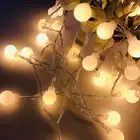 (Warm White 3m 20 Lights)Outdoor String Lights LED Round Ball Shape HG