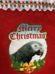 Timneh African Grey Parrot Exotic Bird Holiday Christmas Stockings