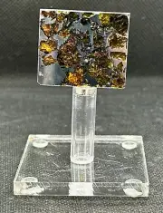 SEYMCHAN METEORITE PALLASITE PARTIAL SLICE 11,7 g