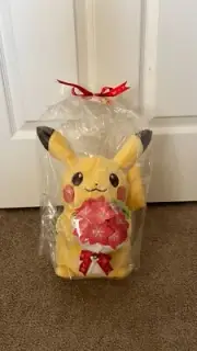 For You Pikachu and Gracidea's Bouquet plush Toy Pokemon center New US Seller
